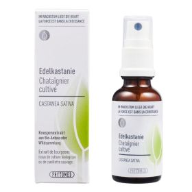 Phytomed Knospenextrakt Edelkastanie 30 ml